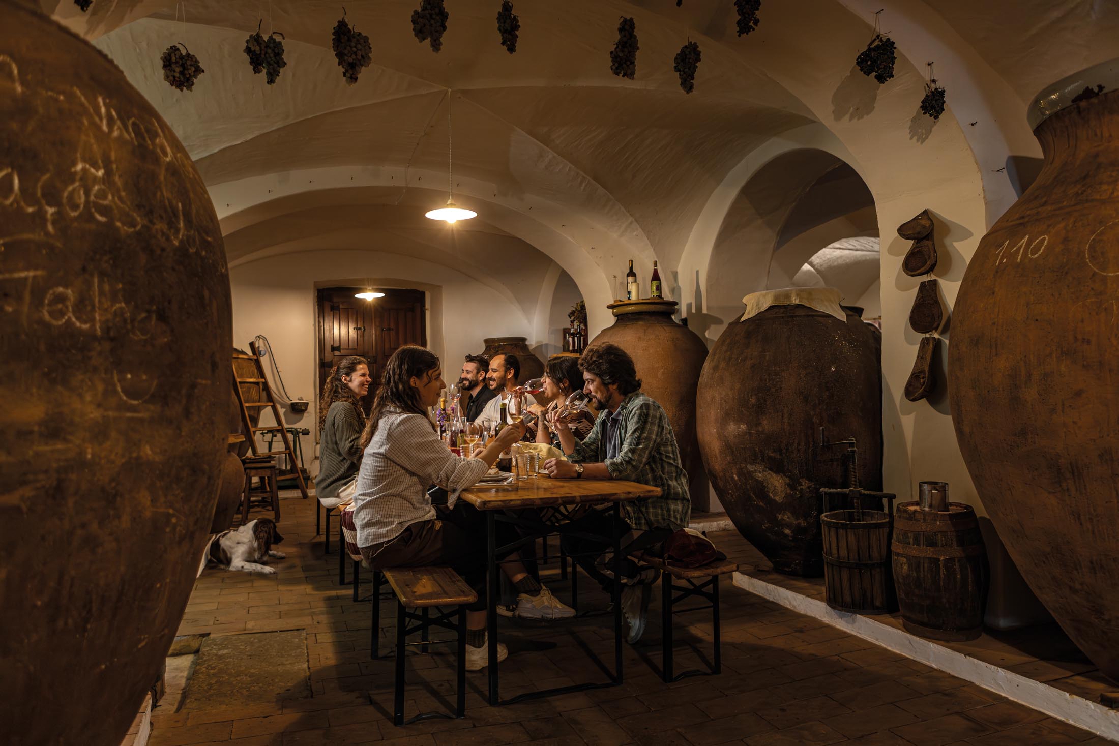 Taberna e talha: vinho de talha e mesa